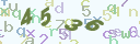 forgetverify